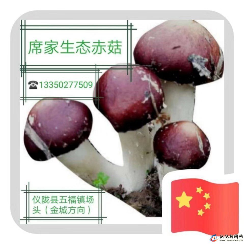 儀隴縣五福鎮(zhèn)席家生態(tài)赤菇種植基地