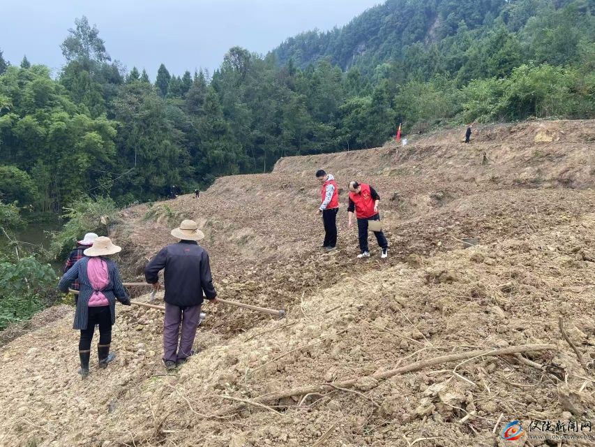 大仪：党群合力整治撂荒地