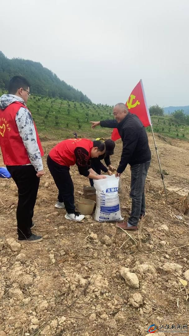 儀隴縣大儀鎮(zhèn)創(chuàng)新村黨群合力攻克撂荒耕地整治難題